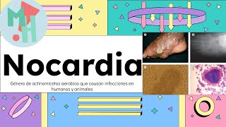 Nocardia¡Conoce a la bacteria que parece hongo [upl. by Allecnirp]