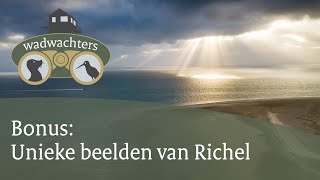 Unieke beelden van de zandplaat Richel in de Waddenzee  4K  Wadwachters  4 [upl. by Lalib]