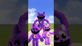 🩷POPPY PLAYTIME MONSTER TRANSFORMATION zoowake top [upl. by Aehcsrop880]