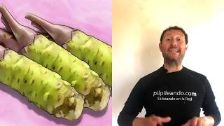 CÓMO HACER MAYONESA DE WASABI RECETA FÁCIL  GUILLE RODRIGUEZ [upl. by Yelsek]