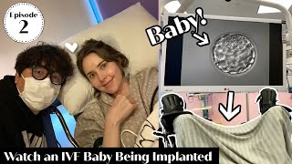 IVF Egg Retrieval amp Embryo Transfer  Our Fertility Journey Episode 2 [upl. by Dixil103]