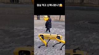 점심먹고 산책나왔니🐶 로봇강아지 보스턴다이나믹스스팟 국립중앙과학관 bostondynamics [upl. by Audsley]