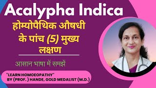 Acalypha Indica  Dr Handes Explanation of Medicine  Five Principal Symptoms  BHMS [upl. by Wandis]