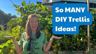 8 Easy DIY Trellis Ideas From Other Gardeners [upl. by Atinahc]