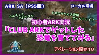 【ASA アベレーション編】＃１０ 初心者ARK実況「CLUB ARKでゲットした恐竜を育ててみる」（PS5版） [upl. by Mmada]