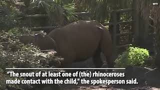 2YearOld Girl Falls into Rhino Exhibit at Florida Zoo [upl. by Chucho133]