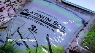 Part 1 Iwagumi Utricularia Graminifolia  substrate and planting [upl. by Enelrac480]