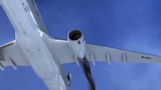 Cathay pacific flight 780 landing animation [upl. by Thomasine]