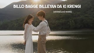 Billo Bagge Billeyan Da Ki Krengi slowed and reverb  Kaka  Zayn Saifi  Billo kehndi [upl. by Steward]