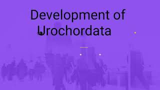 Development of Urochordata herdmania for MSc and BSc life science [upl. by Rodolphe603]