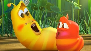 LARVA  LARVA BEBÉS  2018 Película Completa  Dibujos animados para niños  WildBrain [upl. by Sundin]