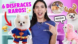 PROBANDO LA ROPA MÁS RARA para PERROS 😱 ft CHUCHU 🐶  Claudipia [upl. by Iohk]