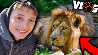 RENISI DHE LUANI JAN BO SHOK  VLOG NE KOPSHTIN ZOOLOGJIK [upl. by Nilad]