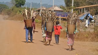 Cambodia Typical Village Life  Everybay Life [upl. by Inva670]