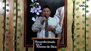 Reverdeciendo por el Rhema de Dios 12102024 [upl. by Marlane142]