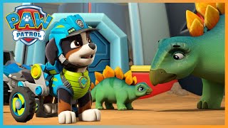 Chase Saves a Silly Squid from a Museum and More  PAW Patrol  Cartoons for Kids [upl. by Giddings390]