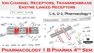 Ion channel receptors  transmembrane enzyme linked receptors  L6 U2  Pharmacology 4th Semester [upl. by Nylidnarb]