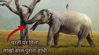 लाखों साल पुराना सबसे अजीब हाथी  Platybelodon Elephant Prehistoric Animal  shorts wildlife [upl. by Koressa]