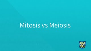 Mitosis vs Meiosis SUPER SIMPLE [upl. by Eelyram230]