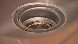 Thanksgiving Safety Tips Dont put grease down sink [upl. by Ahsinrats]