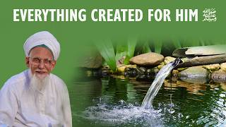 Everything Created for him ﷺ [upl. by Ax464]