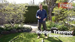 RYOBI Hedge Trimmer Buyers Guide [upl. by Valery]