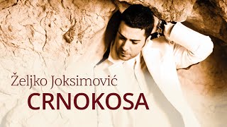 Željko Joksimović  Crnokosa Official Music Audio 2005 [upl. by Nnayecats]