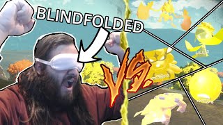 I was FIRST to beat Pokémon Legends bosses BLINDFOLDED [upl. by Walt]