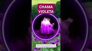 Chama Violeta chamavioleta saintgermain prosperidadeinfinita [upl. by Patricio635]