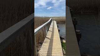 Quansoo Beach Chilmark Massachusetts shorts beach epic peaceful soul zen rejuvenation usa [upl. by Nallaf454]