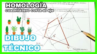 HOMOLOGÍA  EBAU Extremadura 2020 RECTÁNGULO homólogo que corta✂️ al eje✅ [upl. by Airemahs651]