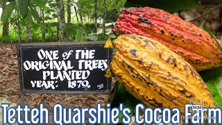 A Visit to Tetteh Quarshie Cocoa Farm  Mampong Akuapem Ghana [upl. by Ativla822]