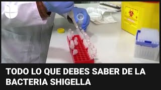 Bacteria Shigella en EEUU a quiénes afecta cómo se transmite y cuáles son sus síntomas [upl. by Gnoy]