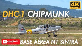 The Last Operational DHC1 Chipmunks • Portuguese Air Force • Força Aérea Portuguesa • BA1 • Sintra [upl. by Haidabez]