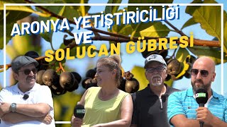 ARONYA YETÄ°ÅTÄ°RÄ°CÄ°LÄ°ÄÄ°NDE SOLUCAN GÃœBRESÄ° KULLANIMI  SEKTÃ–R HABER  HASTÃœRK GÃœBRE [upl. by Vitek612]