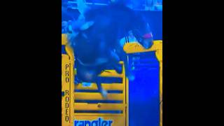 PRCA PRO RODEO CLASSICS 🧲 WRANGLER NFR 13” CLINT CANON’S WILD BRONC RIDE nfr broncriding shorts [upl. by Yarled56]