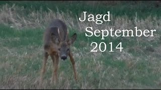 Jagd September 2014 [upl. by Binnings]