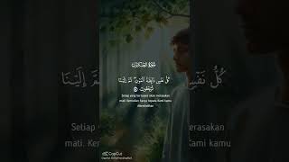 Quran paka status beutifull voice quran talvat [upl. by Zenia]