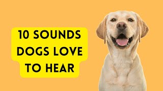 10 Sounds Dogs Love To Hear [upl. by Ailasor]