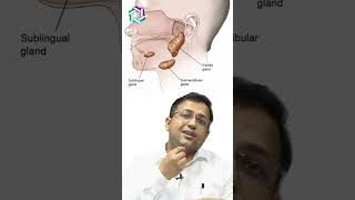 Spotlight on Salivary Gland Cancer Everything you need to know  Dr Amit Chakraborty Mumbai [upl. by Tayler]