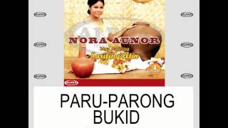 Nora Aunor  PARUPARONG BUKID Lyric Video [upl. by Gisela]