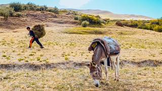 How Forgotten Europeans Survive in Tajikistan Highlands Yagnob People [upl. by Euqimod66]