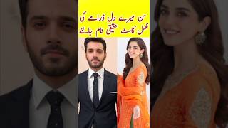 Sunn Mere Dil Fpisode 5 6  Sunn Mere Dil Drama Cast  Wahaj Ali  Maya Ali  sunnmeredildrama [upl. by Ahslek]