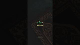 Nabi ﷺ Ka Hukam 💫  Muhammad Ali Mirza youtube youtubeshorts shorts viral islam fyp [upl. by Ibson997]