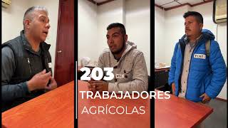 Programa de Trabajadores Agrícolas Temporales MéxicoCanadá ha enviado a más de 500 mil personas [upl. by Bork341]