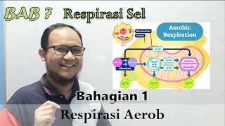 KSSM Bio Ting 4  Bab 7  Respirasi Sel Part 1 Respirasi Aerob [upl. by Leahcar309]