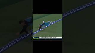 Top 3 new best Fielding efforts in Cricket 🔥 cricket ipl viratkohli [upl. by Frohne906]