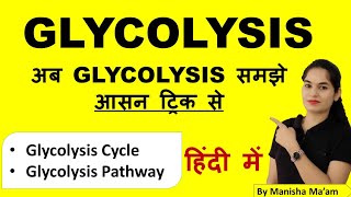 Electron Transport Chain ETC Made Easy [upl. by Esinned214]