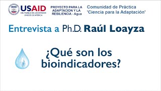 Bioindicadores  Macroinvertebrados como indicadores de la calidad de agua  Raúl Loayza [upl. by Enyale851]