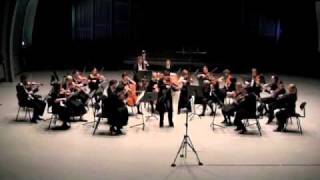 Telemann Viola Concerto 2nd movement [upl. by Yerok940]